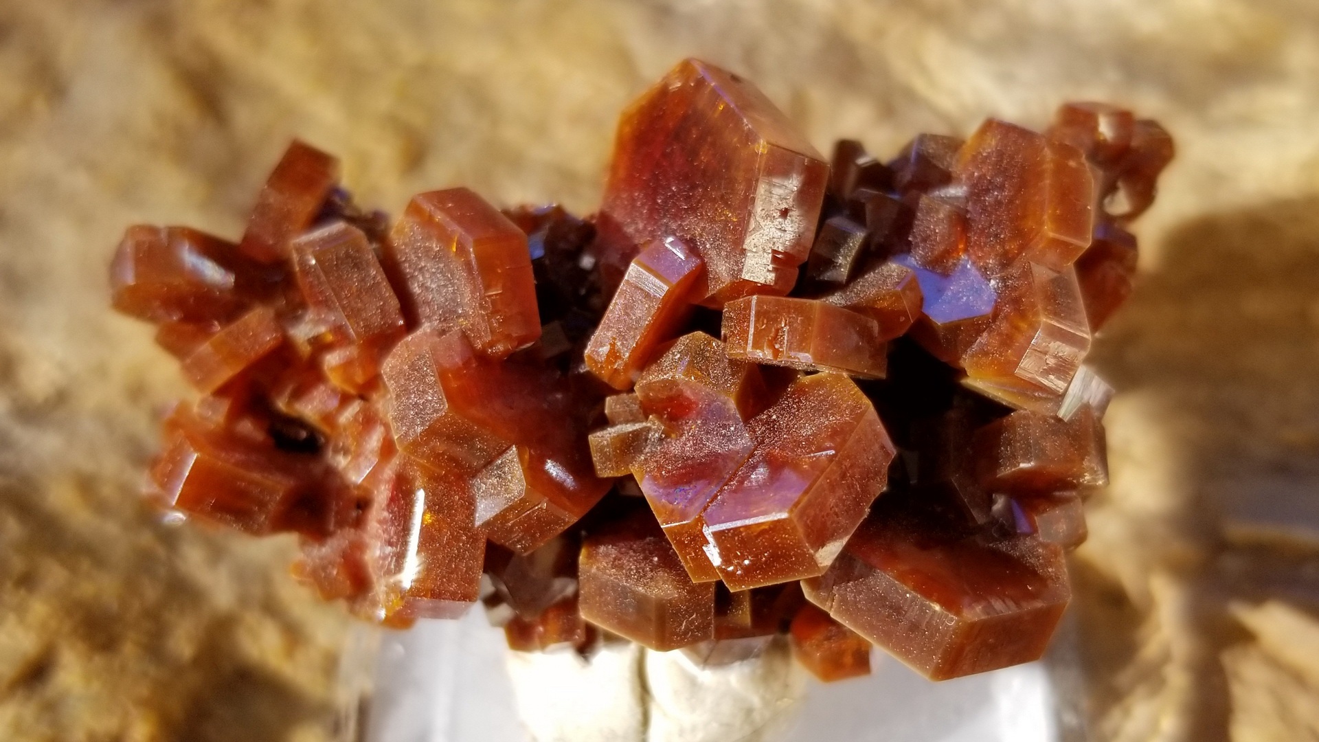 Gum arabic: the hope of Africa