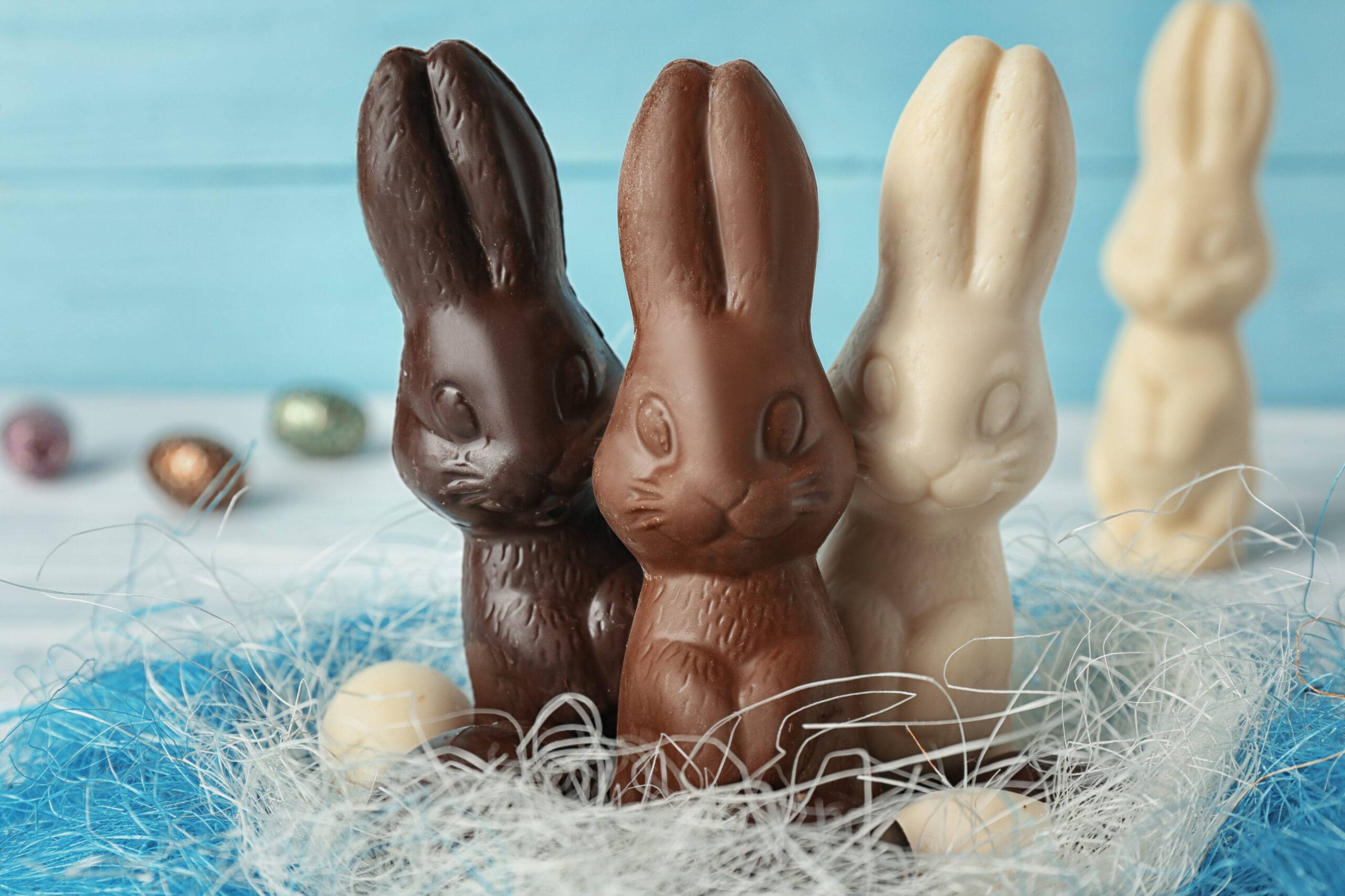 A year of the chocolate bunny and the pandemic